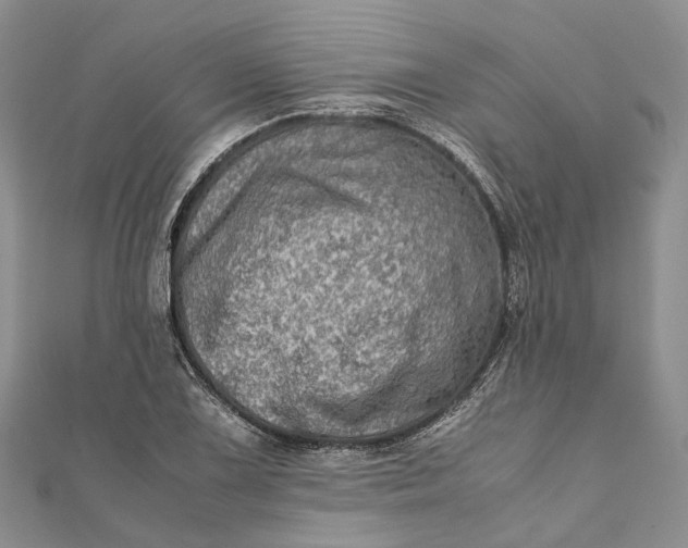 X0000111921075200908101216