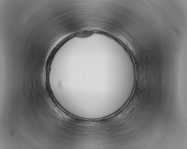 X0000111921076200908101216