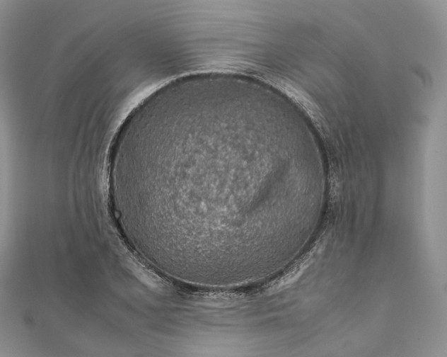 X0000111921077200908101216