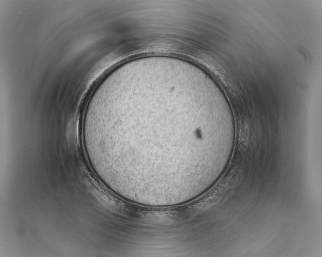 X0000111921078200908101216