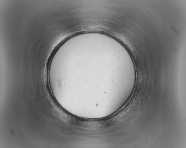 X0000111921079200908101216