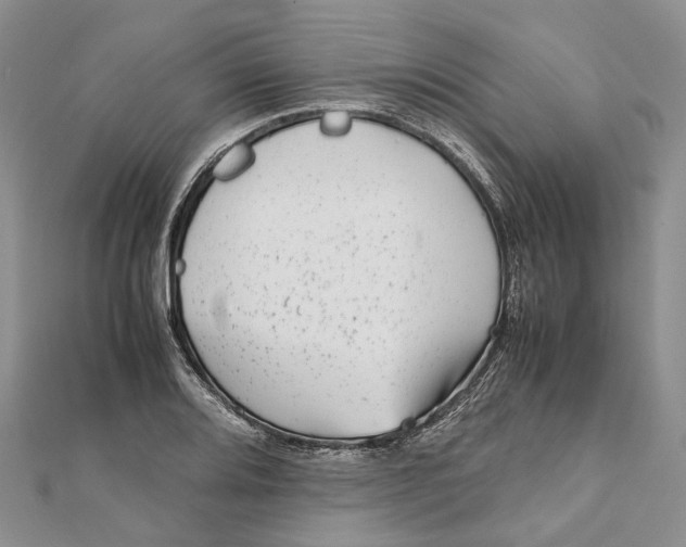 X0000111921080200908101216