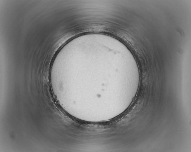 X0000111921081200908101216