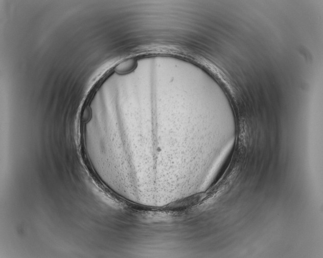 X0000111921082200908101216