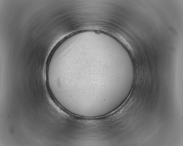 X0000111921084200908101216