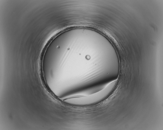 X0000111921085200908101216