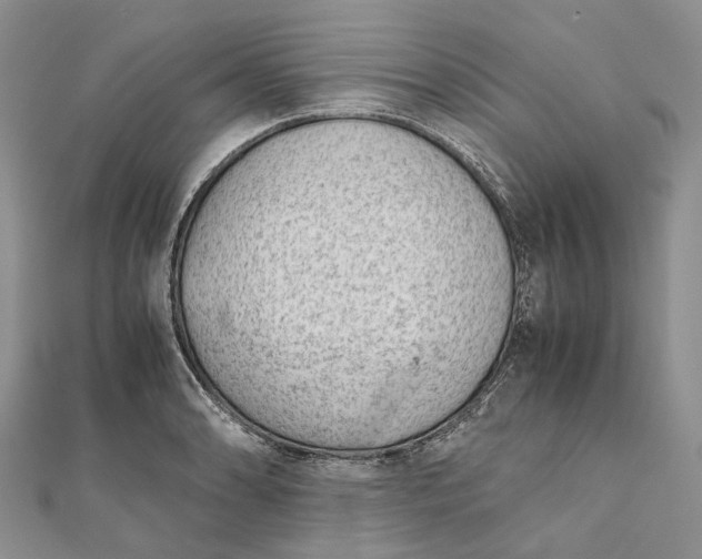 X0000111921086200908101216