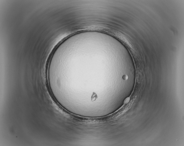 X0000111921087200908101216