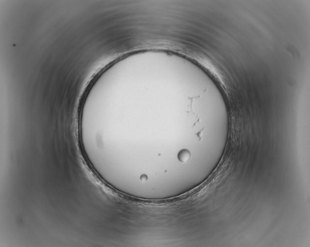 X0000111921088200908101216