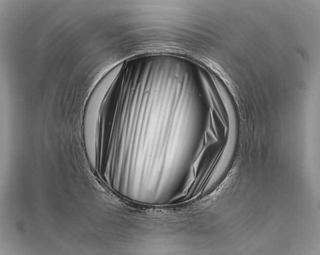 X0000111921089200908101216