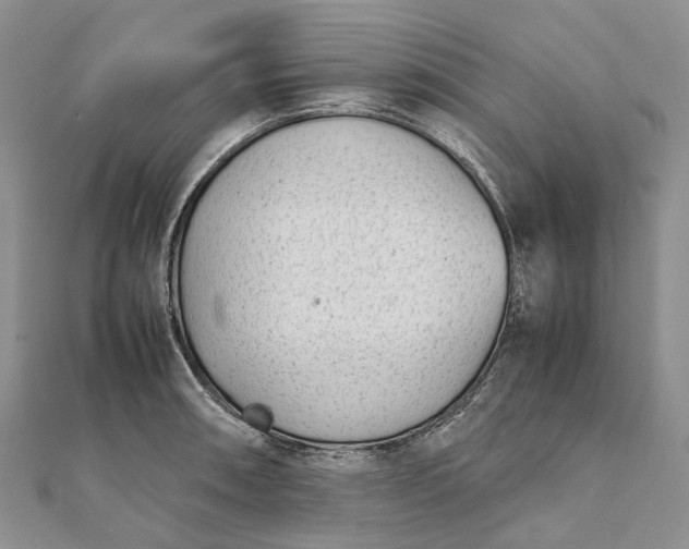 X0000111921090200908101216