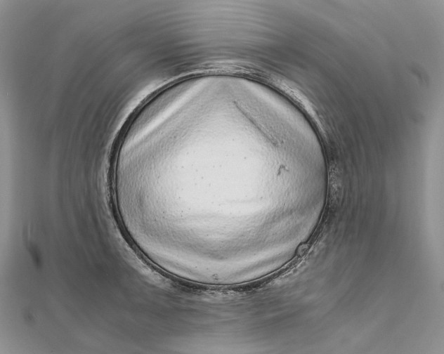 X0000111921091200908101216