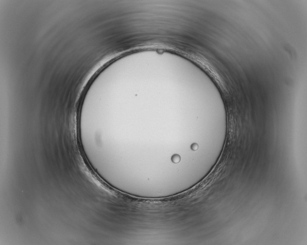 X0000111921092200908101216