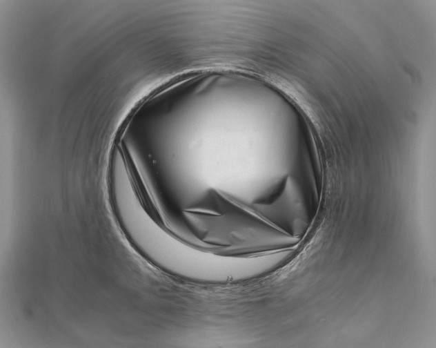 X0000111921093200908101216