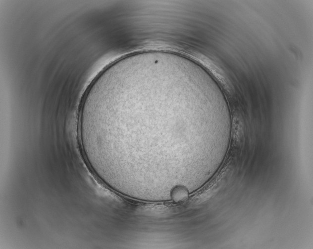 X0000111921094200908101216