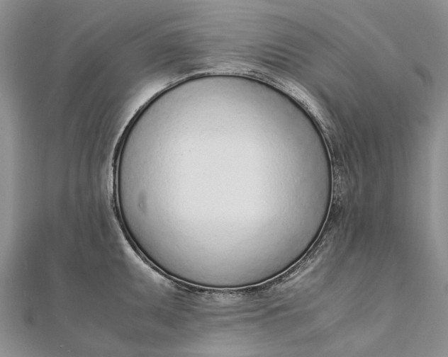 X0000111921095200908101216