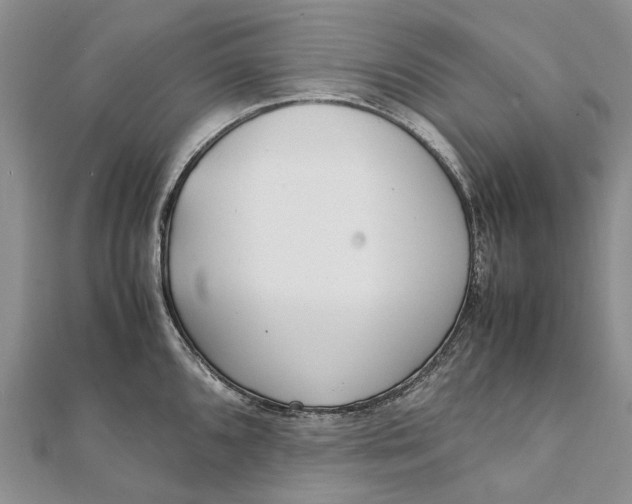 X0000111921096200908101216