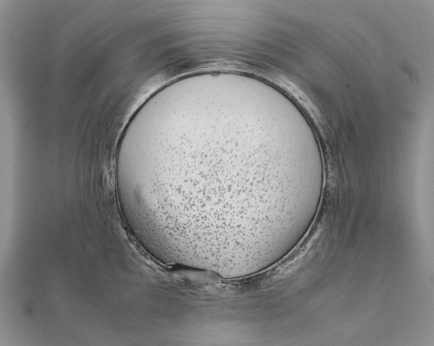 X0000111921097200908101216