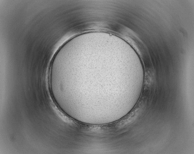 X0000111921098200908101216