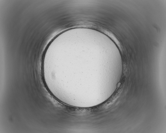 X0000111921099200908101216