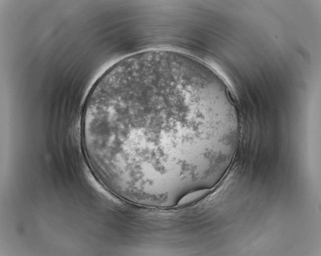 X0000111921100200908101216