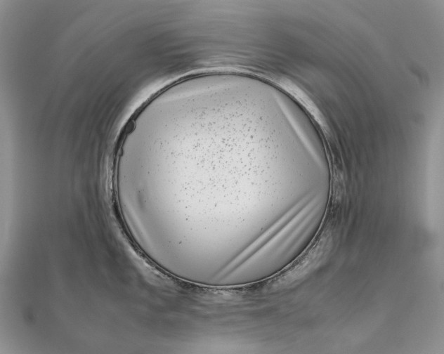 X0000111921101200908101216