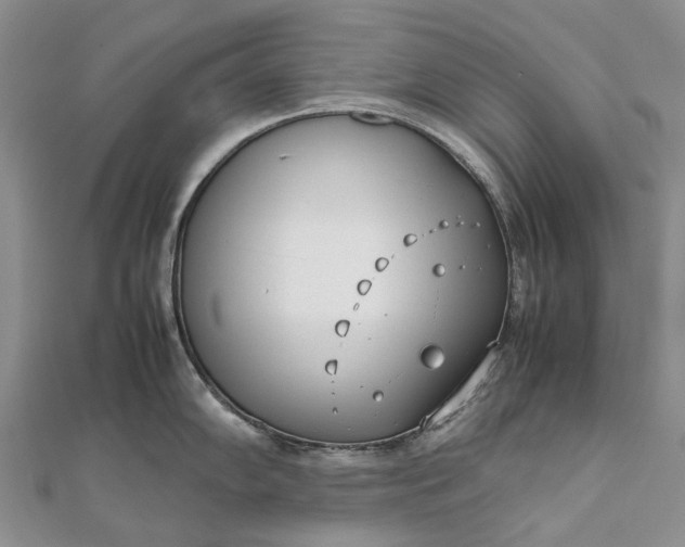 X0000111921102200908101216