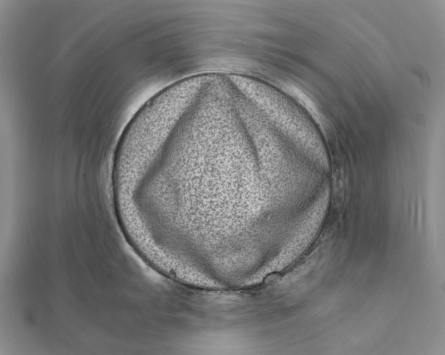 X0000111921103200908101216