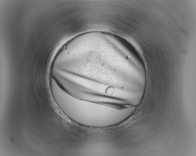 X0000111921104200908101216