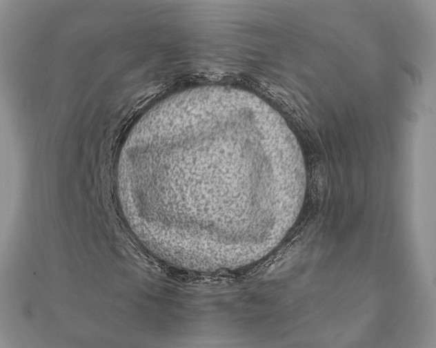 X0000111921105200908101215