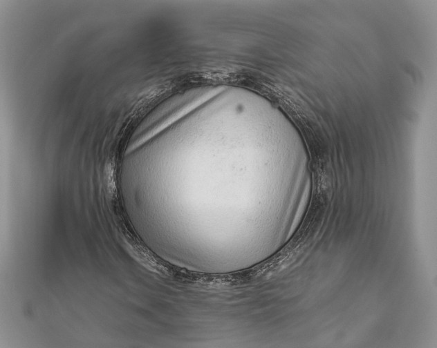 X0000111921106200908101215