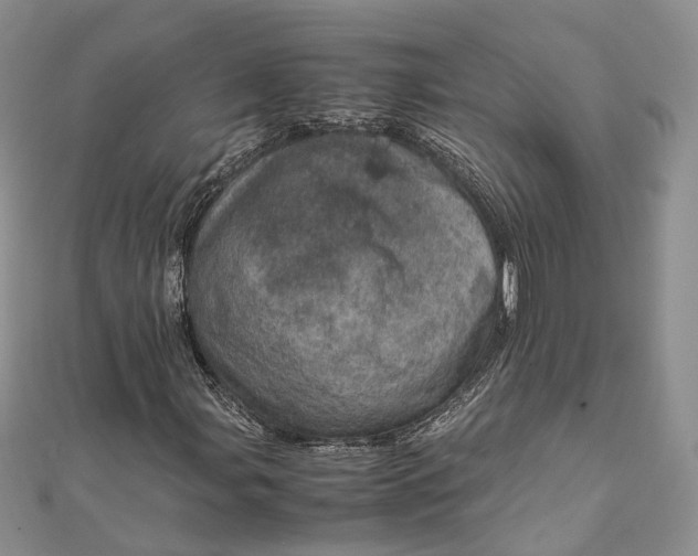 X0000111921107200908101215