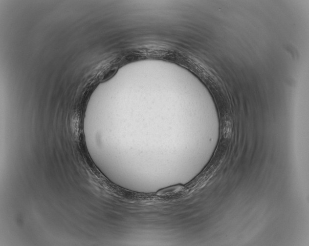 X0000111921108200908101215