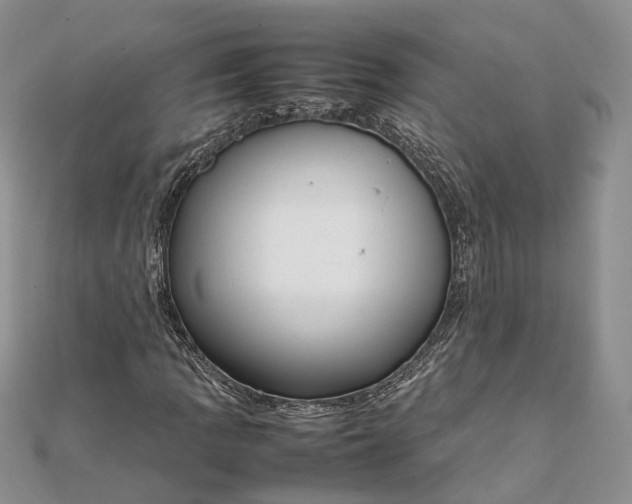 X0000111921109200908101215