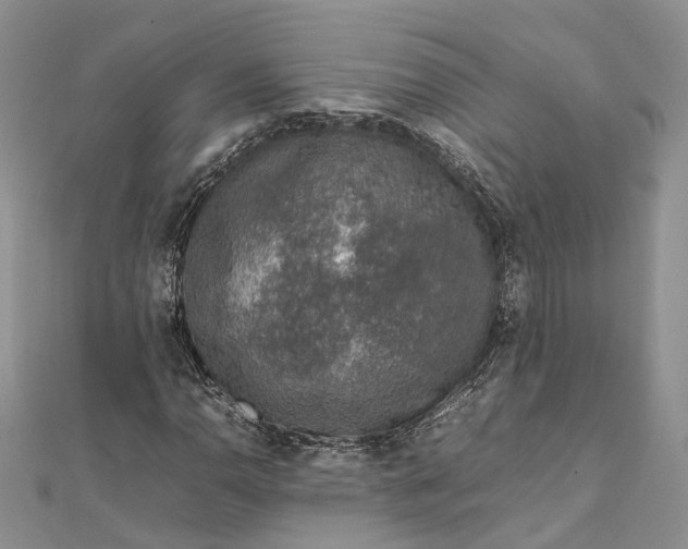 X0000111921110200908101215