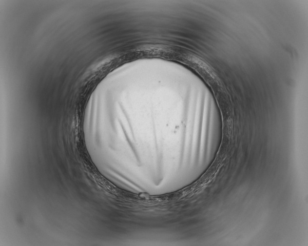 X0000111921111200908101215