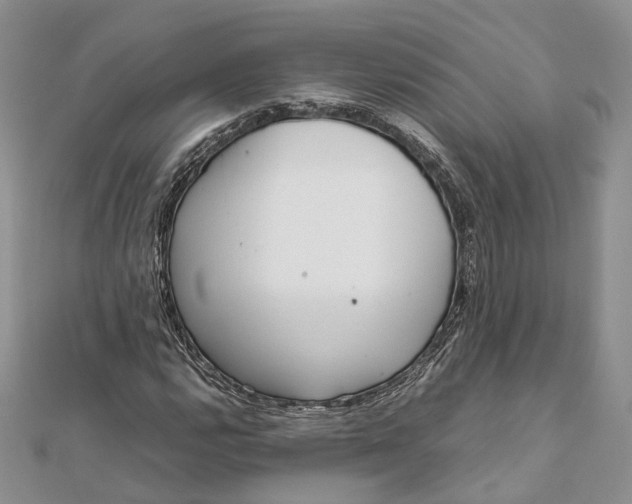 X0000111921112200908101215