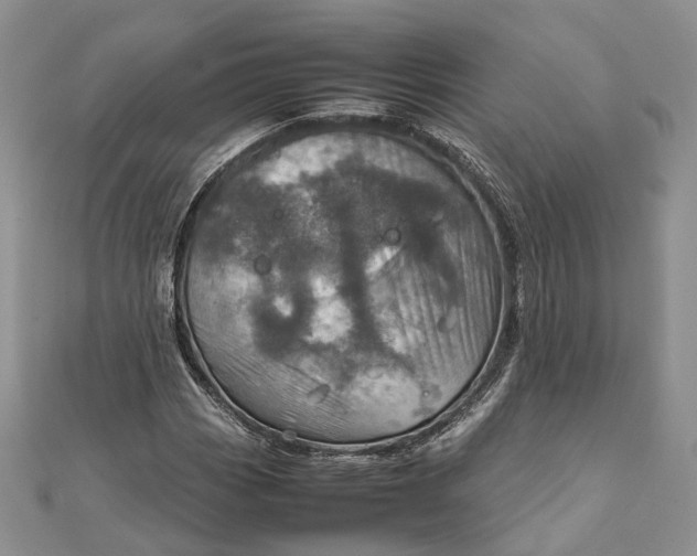 X0000111921113200908101215