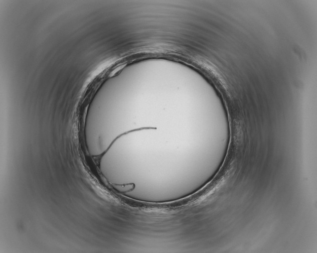 X0000111921114200908101215