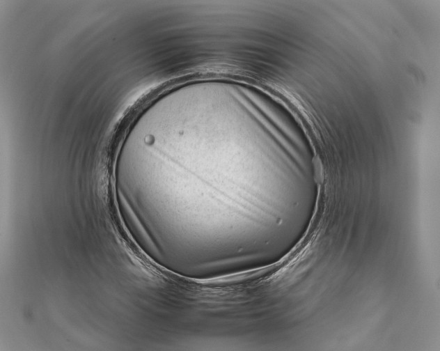 X0000111921115200908101215