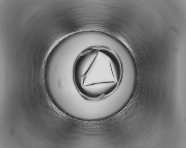 X0000111921116200908101215