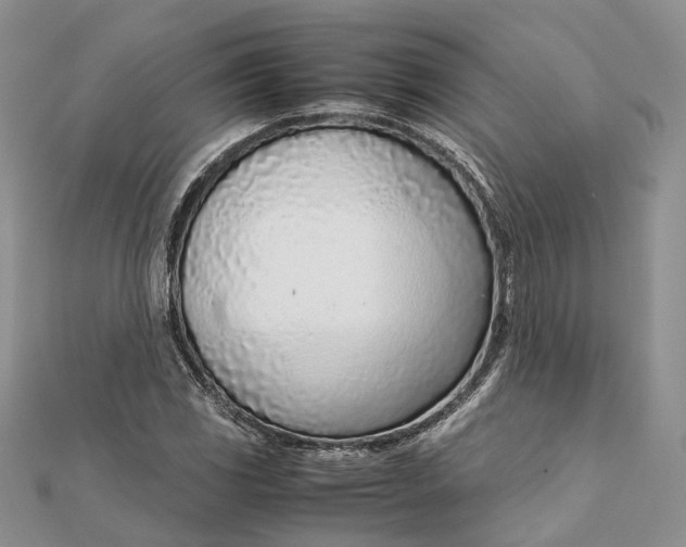 X0000111921117200908101215