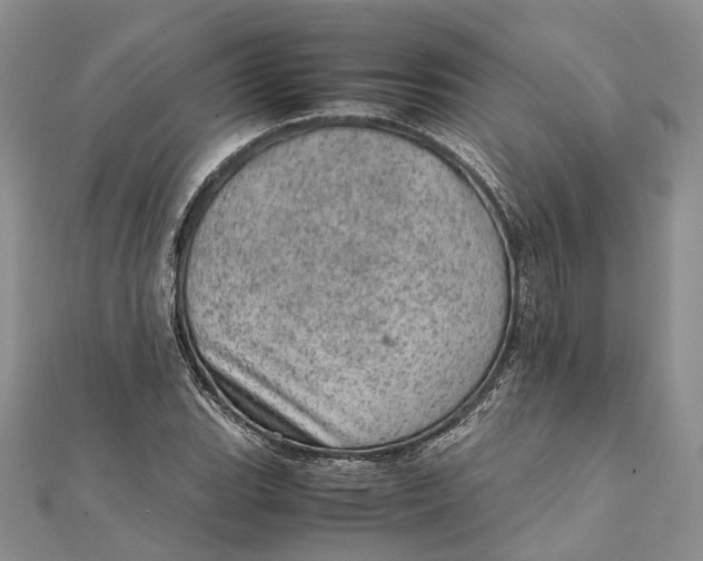 X0000111921119200908101215