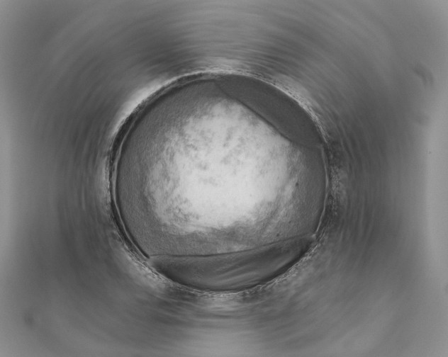 X0000111921120200908101215