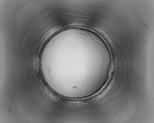 X0000111921121200908101215