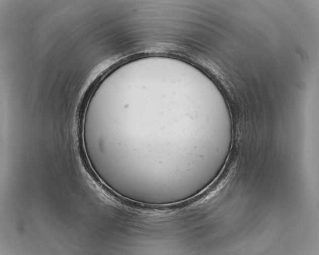 X0000111921122200908101215