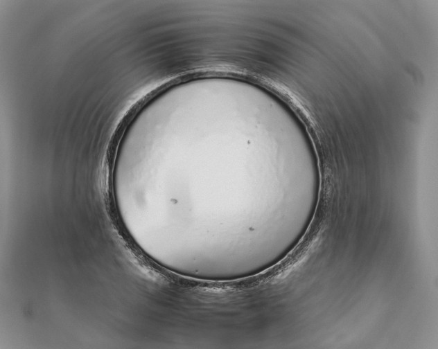 X0000111921125200908101215