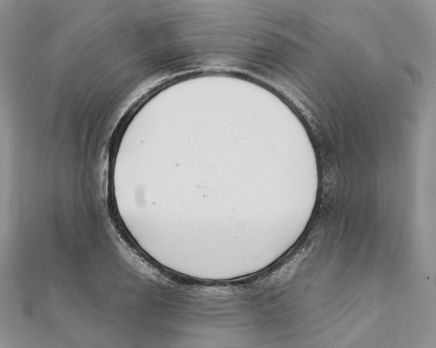 X0000111921126200908101215