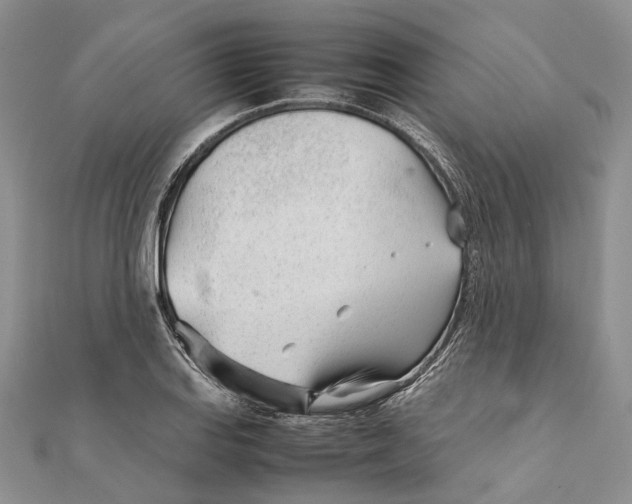 X0000111921127200908101215