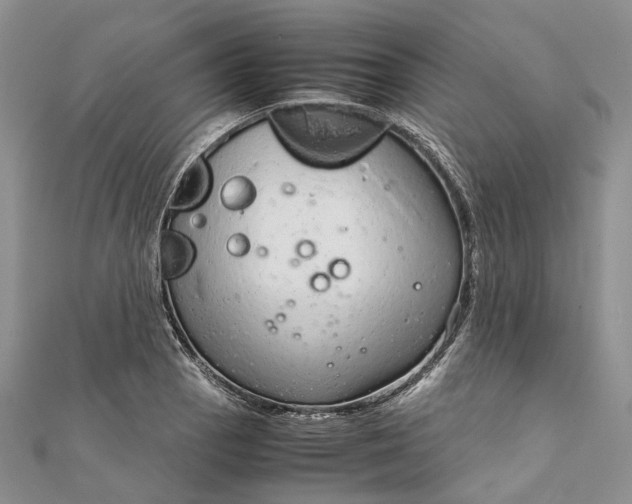 X0000111921129200908101215